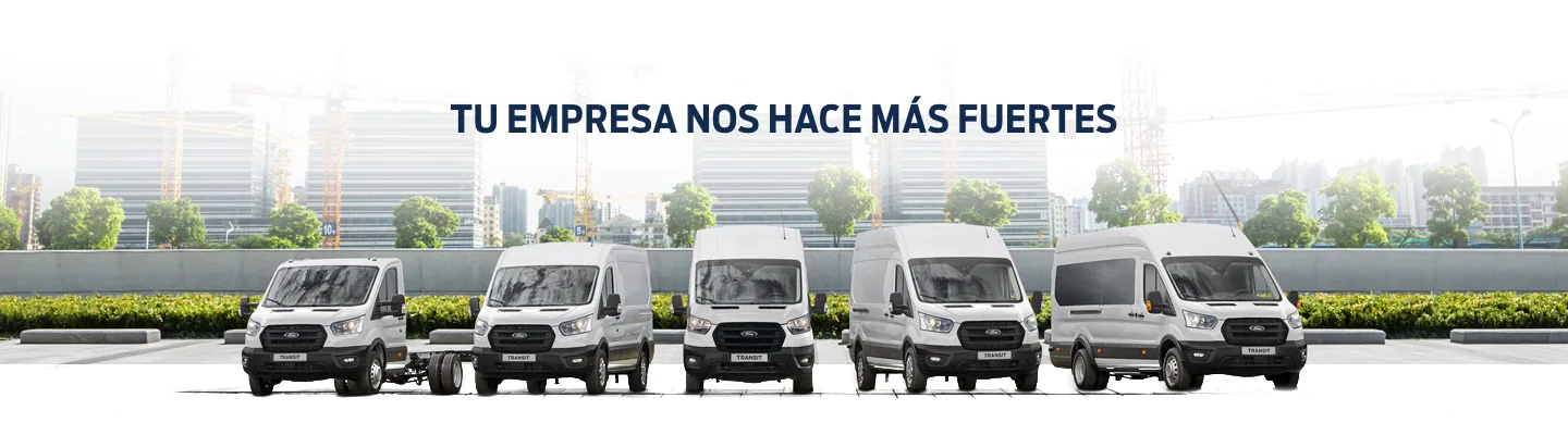 TRANSIT FURGON TE